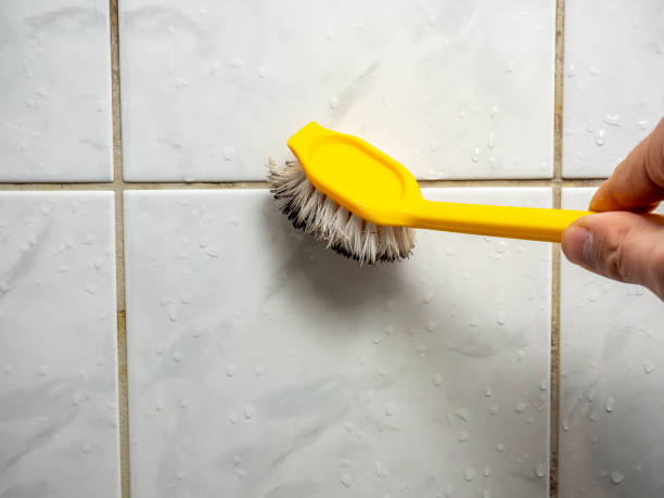 Best Residential Mold Remediation in Odenville, AL