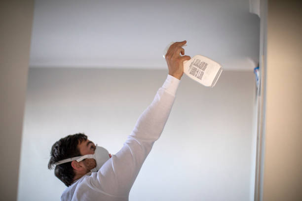 Best Residential Mold Remediation in Odenville, AL