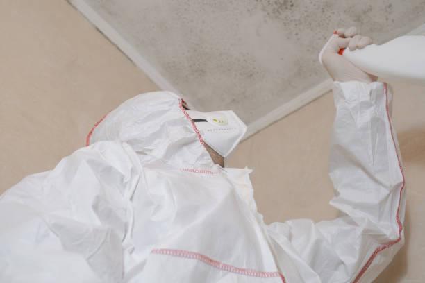 Best Industrial Mold Remediation in Odenville, AL