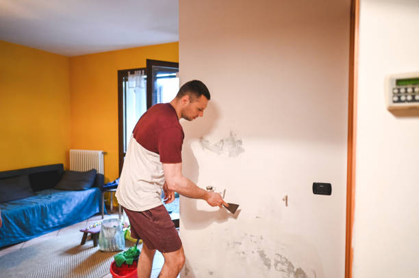 Best DIY Mold Remediation Support Services in Odenville, AL
